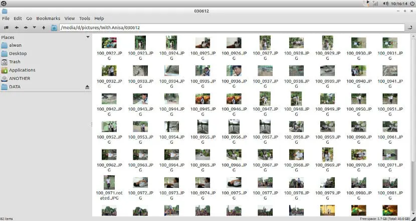 pcmanfm.webp